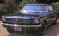 Mustang